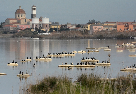 Natura in Inverno